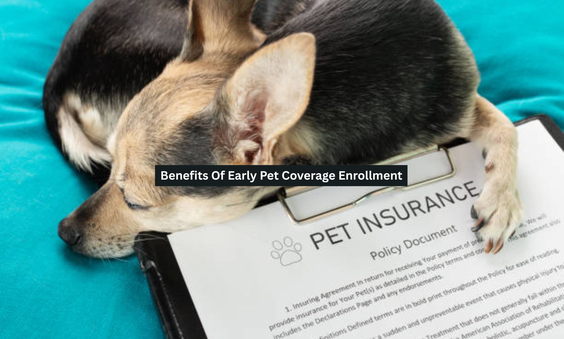 Pet Coverage Enrollment