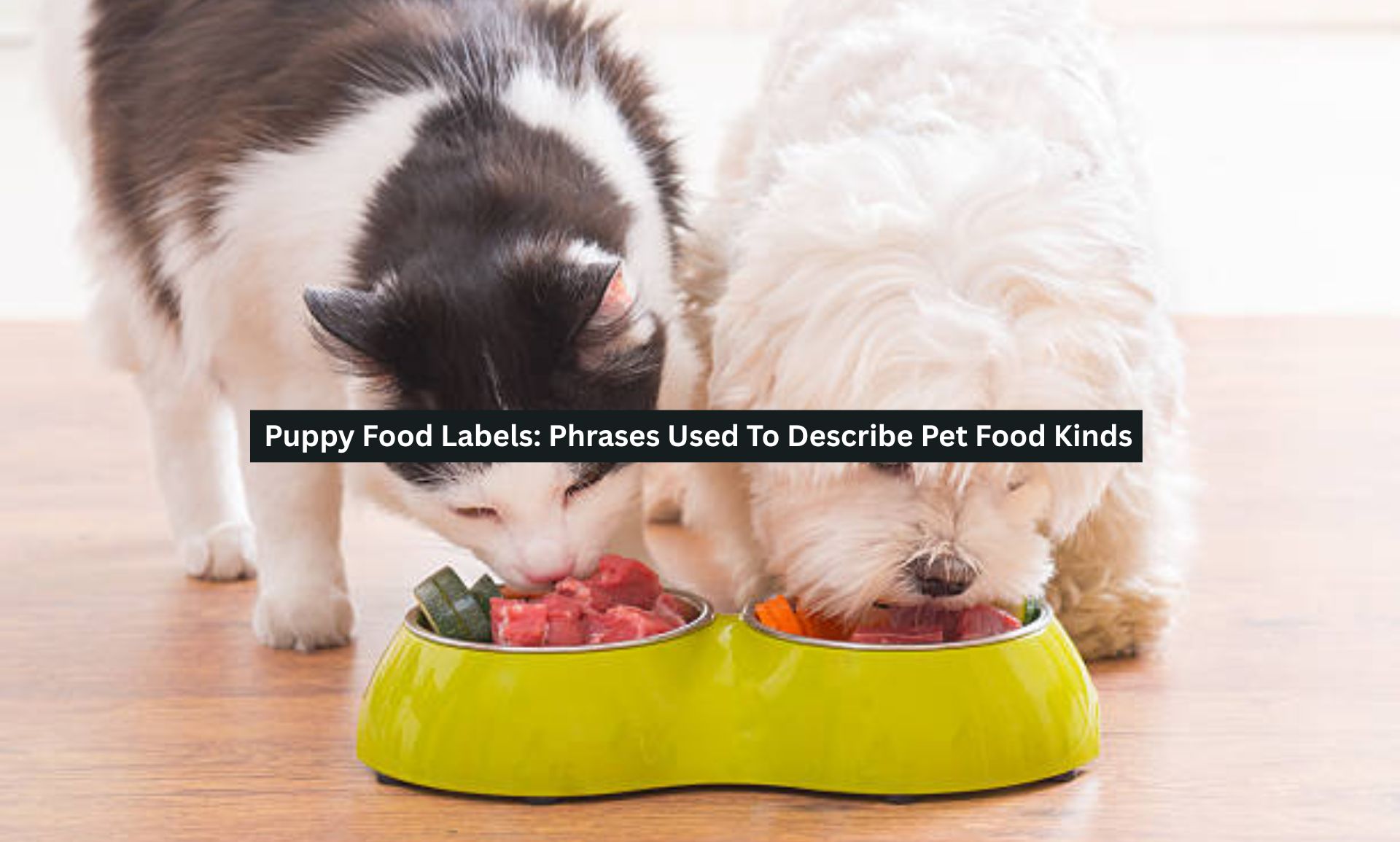Puppy Food Labels