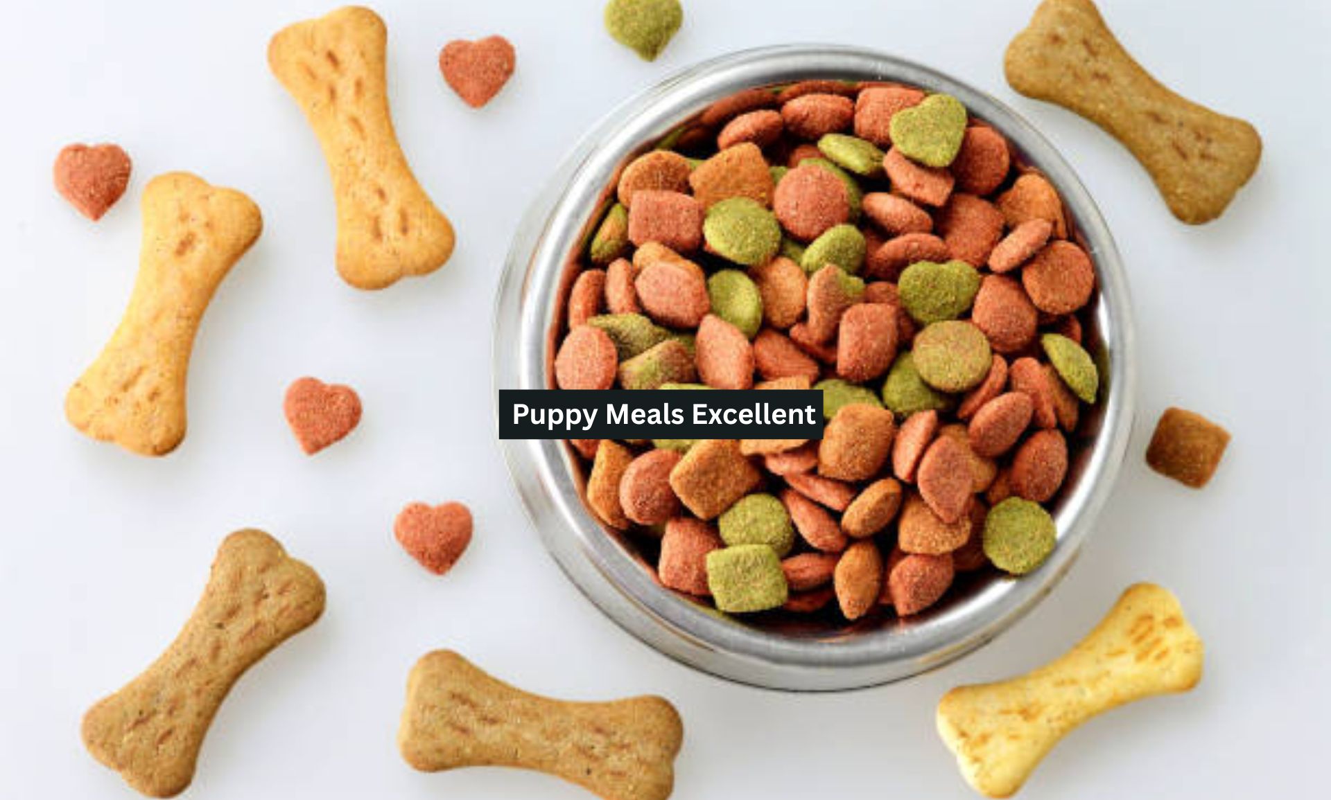 Puppy Meals