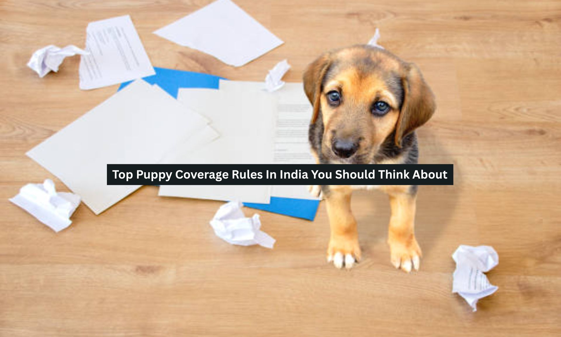 Puppy Coverage Rules