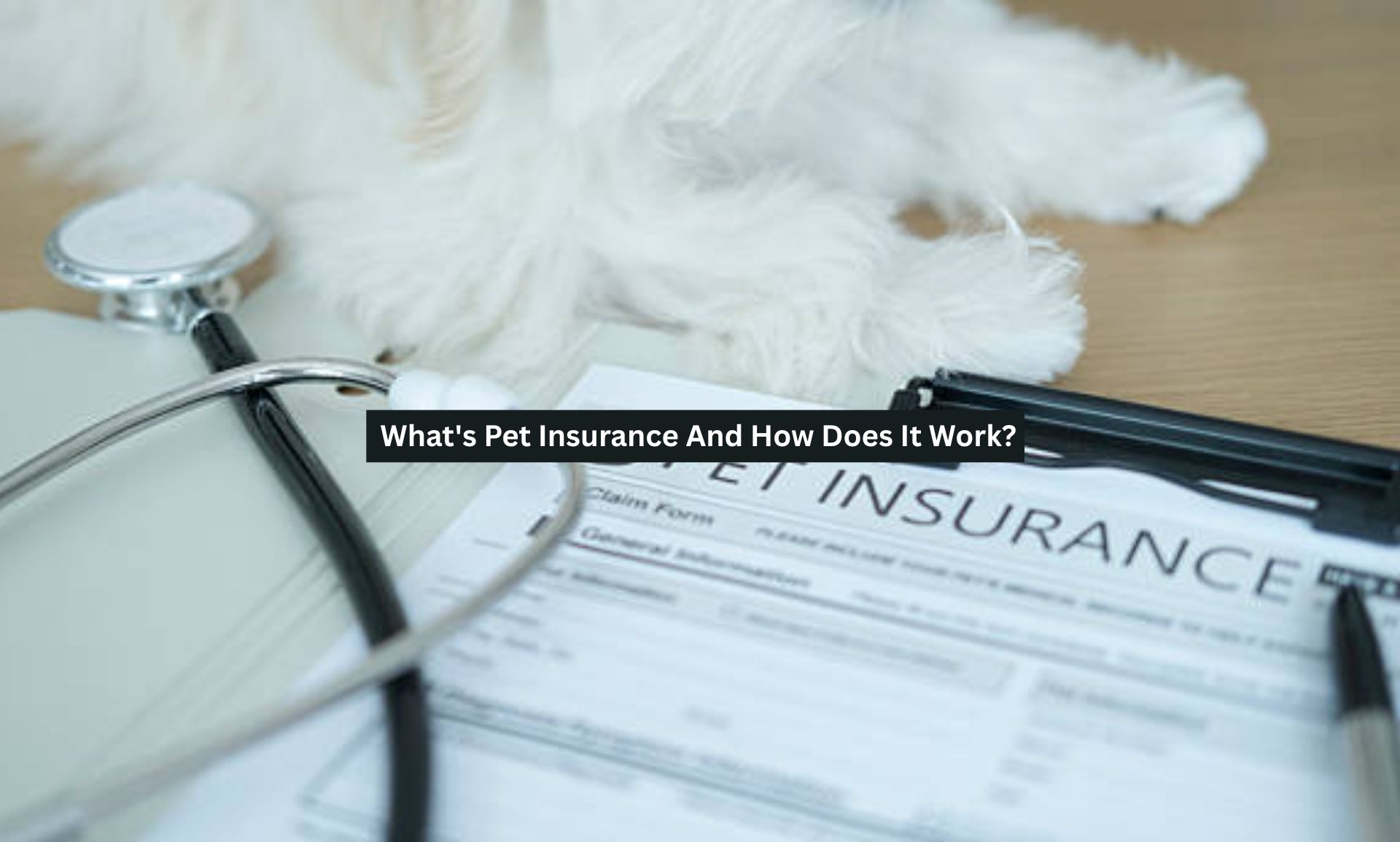 Pet Insurance
